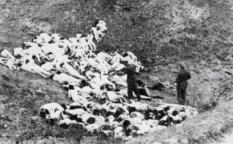 raped and killed—crimes of the wehrmacht