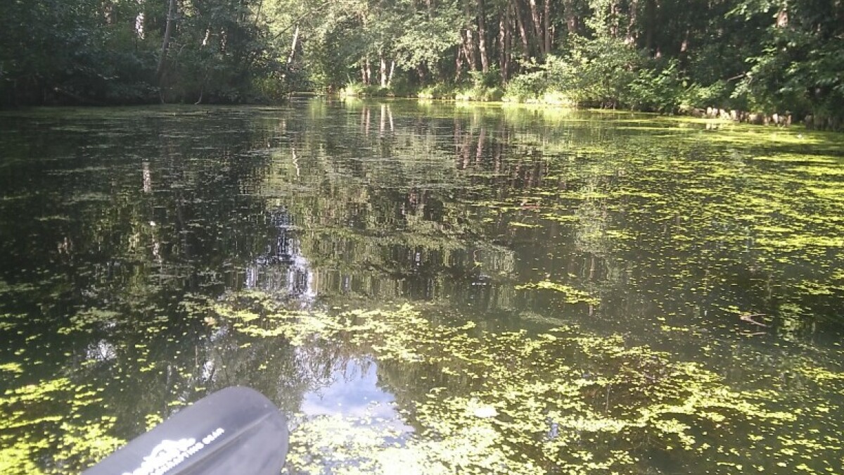 Titelfoto für diesen Kanal